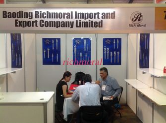 BaoDing Richmoral Import and Export Co., Ltd